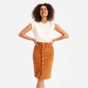 Everlane Skirt